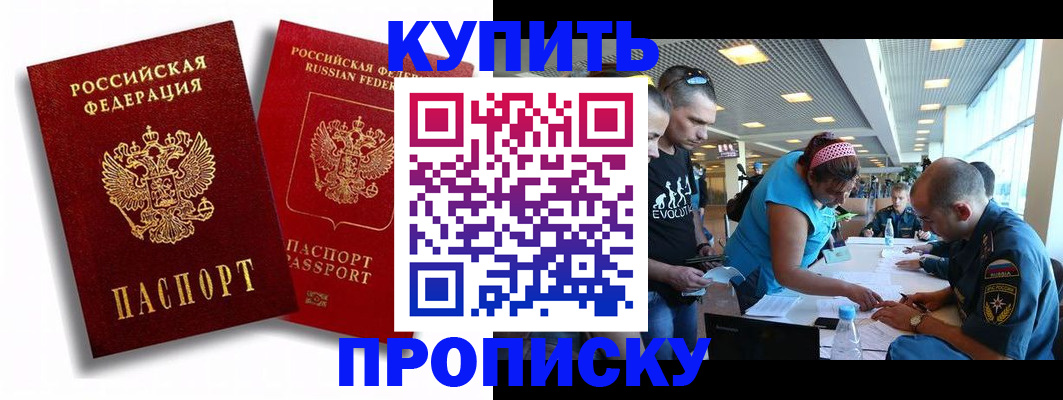прописка паспорт в Ельне